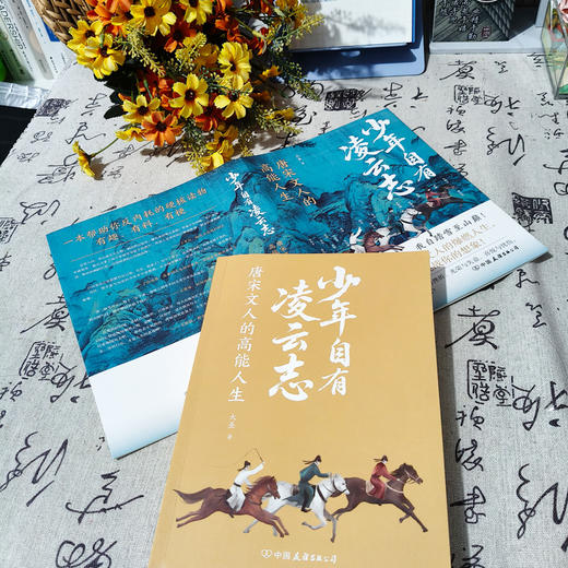 少年自有凌云志：唐宋诗人的高能人生 大圣 著 商品图2