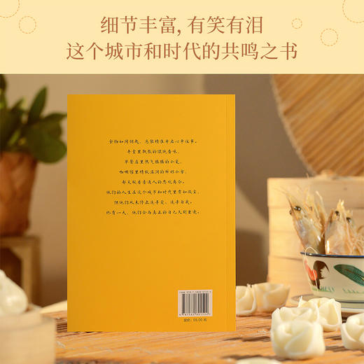 菜肉馄饨（弄堂里的万千滋味，普通人的内心宇宙。周野芒、潘虹主演海派电影《菜肉馄饨》原著小说，与电影同步上线！） 商品图3