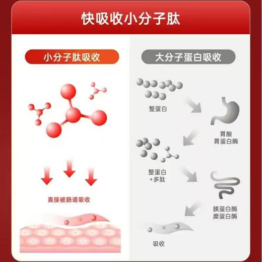 【私域产品】佰倍优基速得血蛋白肽饮品中老年营养品基速得口服液50ml*2瓶 商品图1