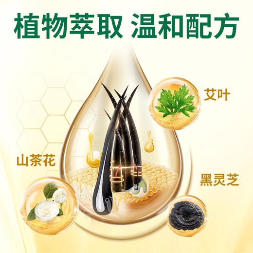 百年扁氏黑功夫袋装泡泡染 商品图1