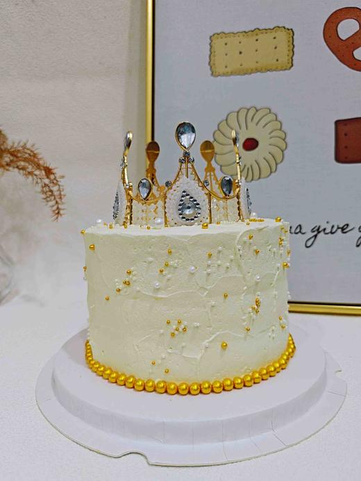 白天鹅 商品图0