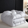 80超柔天丝95%皖西大白鹅绒【布鲁斯鹅绒被 】 一直以来的经典款，面料升级，欢迎大家体验！  商品缩略图7