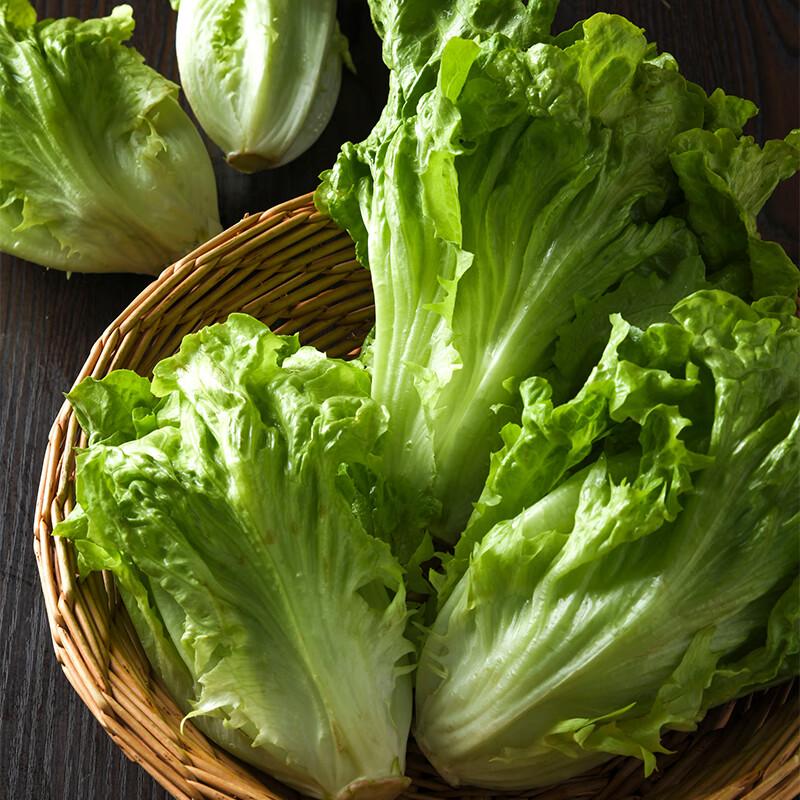 放心奶油生菜 约250g/袋 安全安心可追溯 伊藤自有品牌