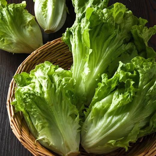 放心奶油生菜 约250g/袋 安全安心可追溯 伊藤自有品牌 商品图0