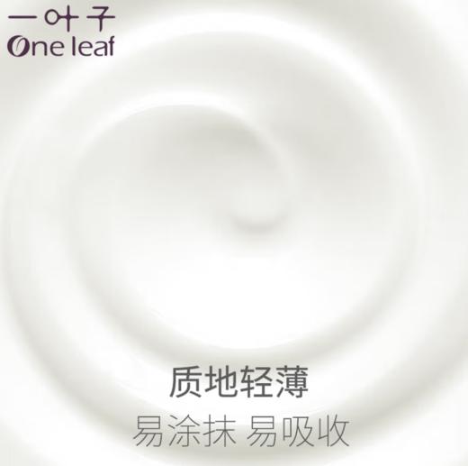 一叶子紧致修护面霜50g新款-1703 紧致补水 商品图6