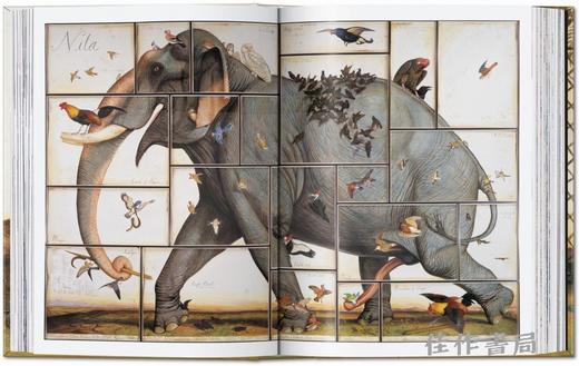 Walton Ford. 40th Ed. / 沃尔顿·福特 动物水彩画（40周年纪念版）/Taschen 40周年系列 商品图3
