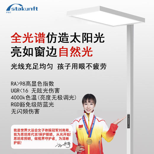 思坦库stakunft 落地护眼灯立式全光谱台灯学习阅读专用大路灯100W（一代）STK-01-100 商品图0
