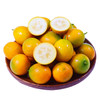 【CHUAN】脆皮金桔【精品果】3斤大果 （35个左右/斤） 商品缩略图0