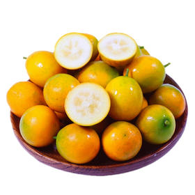 【CHUAN】脆皮金桔【精品果】3斤大果 （35个左右/斤）