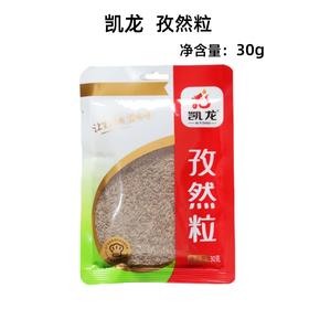 30g 凯龙 孜然【粒】 烧烤炒菜油炸小吃厨房调味佐料 家用小袋装调味料