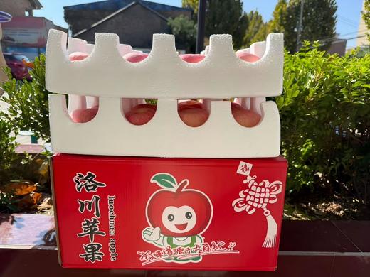 【CHUAN】洛川红富士苹果4.5-5斤中果 顺丰快递（10-12枚） 商品图1