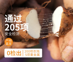 温县垆土新鲜铁棍山药 | 现挖发货，香甜面糯 肉质紧密 零下5°度地区慎拍，容易冻伤 2500g/箱大果礼盒装