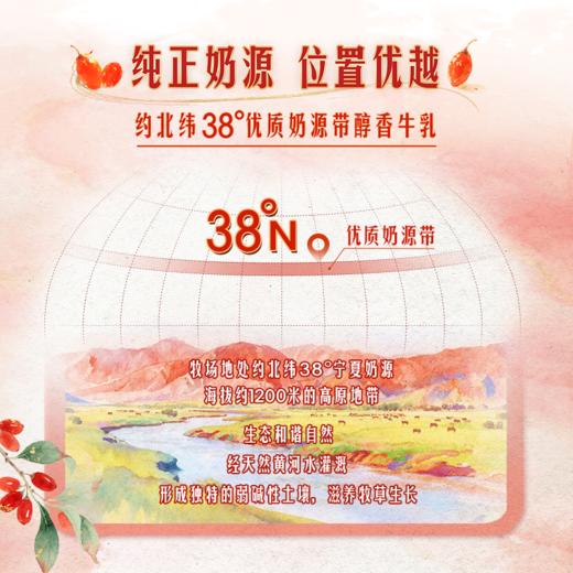爵品红枸杞奶250ml×10盒 商品图3