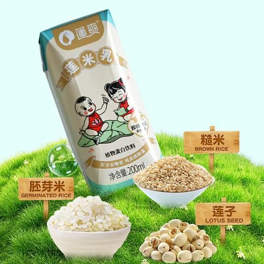 无麸质莲米乳（莲子+胚芽米+糙米） 200ml*10瓶 商品图3