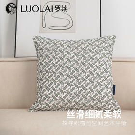 罗莱软装 典雅抱枕 45*45cm
