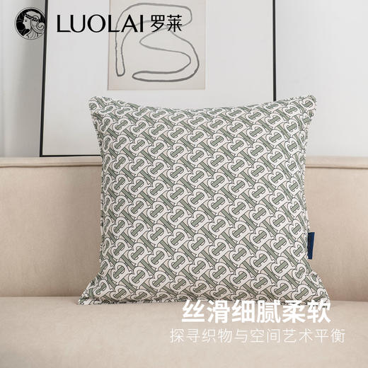 罗莱软装 典雅抱枕 45*45cm 商品图0