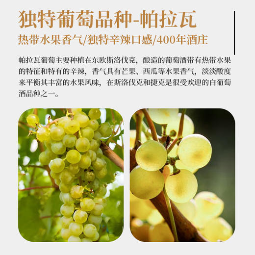 【河北农垦】斯洛伐克白堡系列帕拉瓦半干白葡萄酒750ml 商品图4