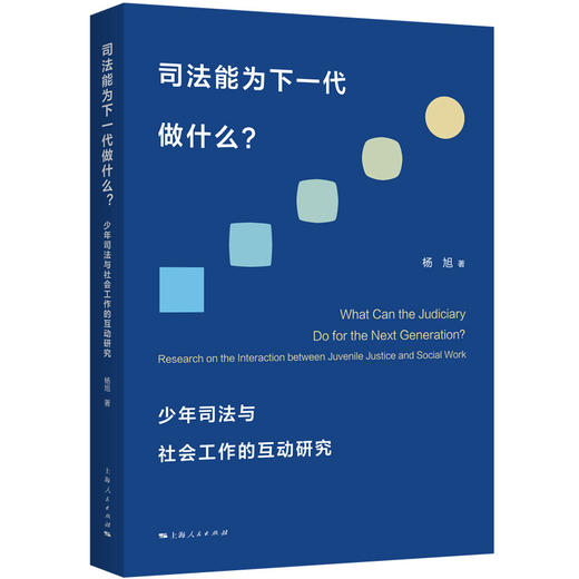 司法能为下一代做什么？少年司法与社会工作的互动研究 商品图0