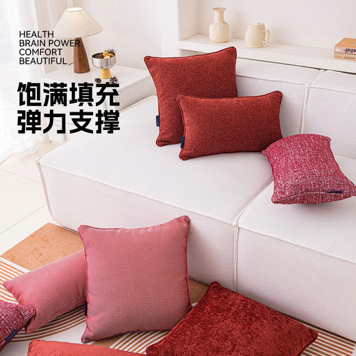 罗莱软装  欢天喜地抱枕 30*50cm 商品图1