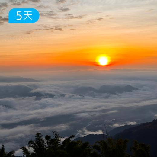 冬季爆款｜探秘哀牢山 穿越迷雾森林+徒步元阳梯田 23公里轻徒步 5日 商品图1