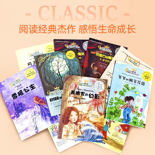【礼盒装】桂冠“国际大奖儿童文学”系列  （全10册）每一本都有大奖在身  激发孩子独立思考能力 商品图8