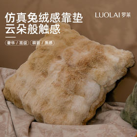 罗莱软装 梦幻兔绒抱枕 50*50cm