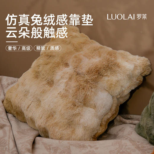 罗莱软装 梦幻兔绒抱枕 50*50cm 商品图0