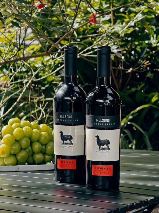 11月7日晚20点【莫松中央山谷佳美娜干红葡萄酒】内部专属福利帮朋友清仓一批红酒，超高性价比，懂红酒的一喝就知道，绝对超值2020年10月份【原瓶进口】智利；13%750ml/瓶整箱6支 商品图1