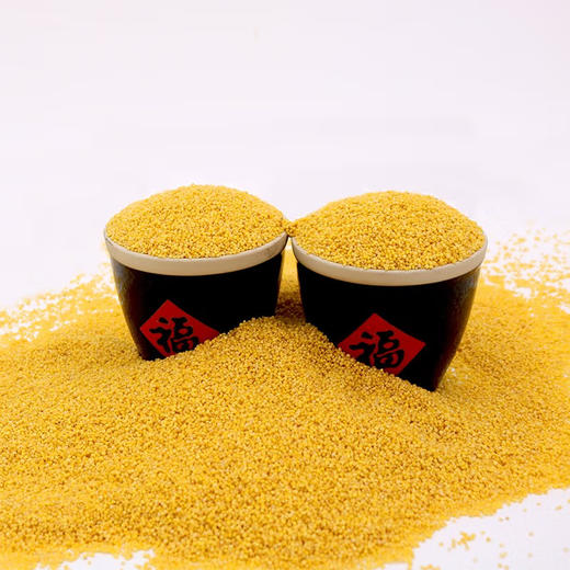 孟克河 有机敖汉小米礼盒5kg（500g*10） 商品图2