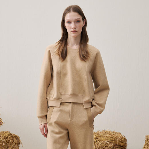 谜底圆领卫衣长袖2025年冬季新品亲肤绒感百搭插肩袖女254MV1676 商品图0