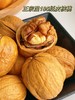 【新疆果185纸皮核桃】壳薄如纸，饱腹感强，清新草本味 商品缩略图5
