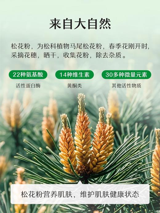 松达婴儿护肤松花粉痱子粉新生婴幼儿专用舒缓爽身粉宝宝吸湿不淹不红非玉米粉52g 商品图2