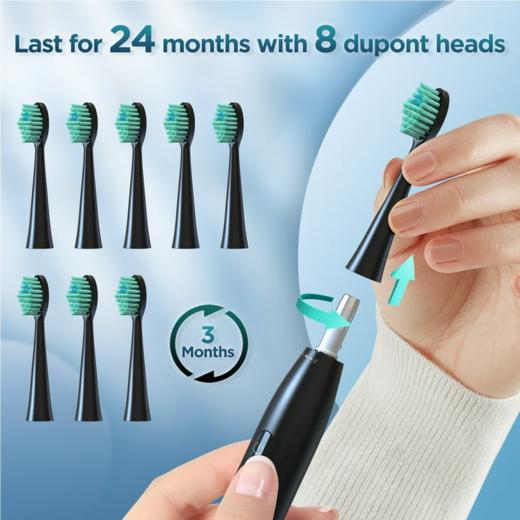 美国 沃尔玛 SEJOY 声波电动牙刷 USB充电 5种模式 智能计时  DY156-BLA 商品图3