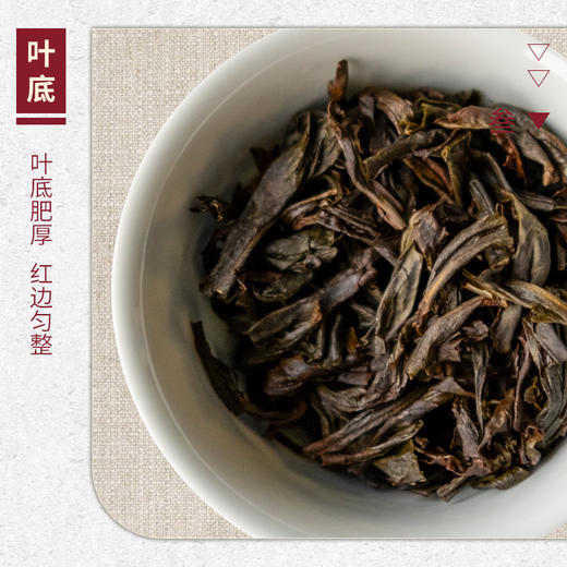 【山纯限品】2025年特等奖水仙17g 商品图4