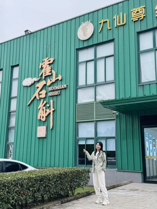 【神农本草经鉴定：强阴圣品】【滋阴生津的 霍山铁皮石斛原浆】【用石斛枫斗加工做的石斛原浆】石头上的铁皮石斛  5年慢生长 1袋=15根石斛鲜条 五大0添加（0蔗糖、0香精、0脂肪、0增稠、0防腐剂）） 商品图12