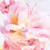 迪奥 克丽丝汀迪奥迪奥小姐花漾淡香水100ml（节日限量版）  E000000687-F 商品缩略图2