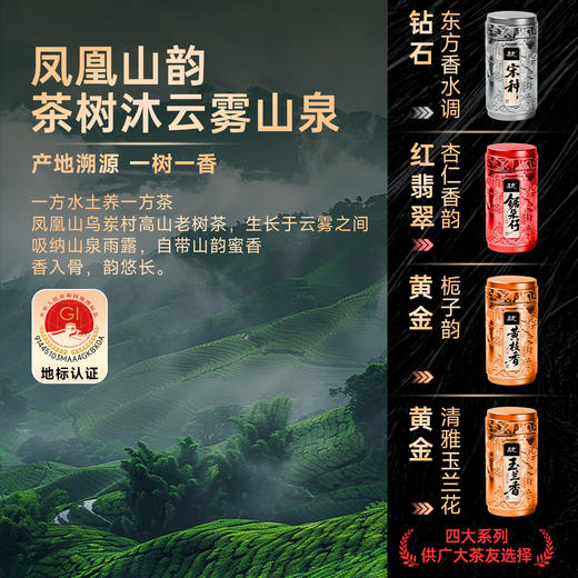 【年货礼盒】茶叶 凤凰单枞 正宗潮州凤凰单丛茶 宋种 乌龙茶 茶叶礼盒 茶饮 五虎 150g 商品图5