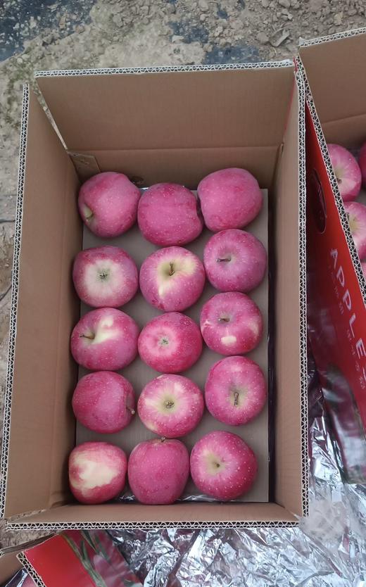 童年味道：产地直发，甘肃静宁一级大果，现采现摘，二十年果农出品 商品图1