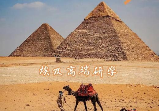 游学招募 · 王者之师 商品图0