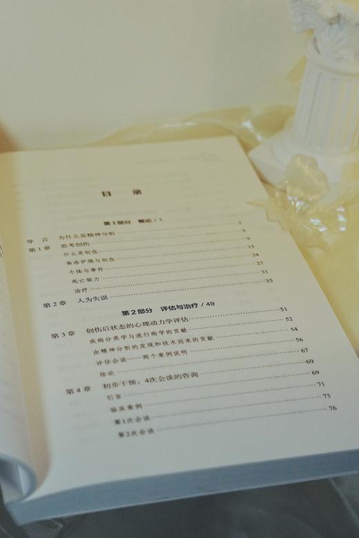 万千心理·理解创伤：精神分析取向（原著第二版增订本） 商品图7