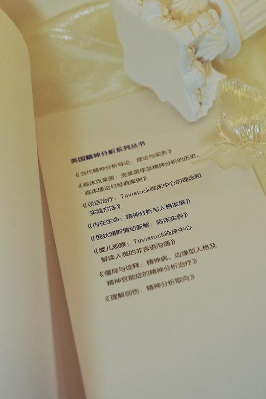 万千心理·理解创伤：精神分析取向（原著第二版增订本） 商品图4