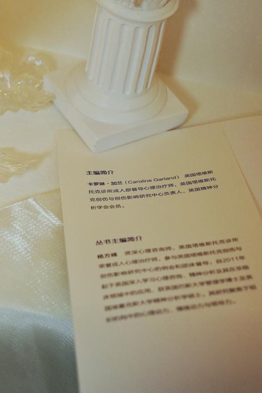 万千心理·理解创伤：精神分析取向（原著第二版增订本） 商品图5