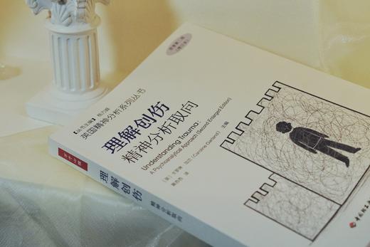 万千心理·理解创伤：精神分析取向（原著第二版增订本） 商品图9