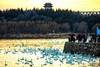 拍鸟专线：河南·三门峡天鹅湖、地坑院、甘山红腹锦鸡 6 天摄影创作团 商品缩略图2