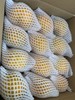 合作生产/生态椪柑 商品缩略图6