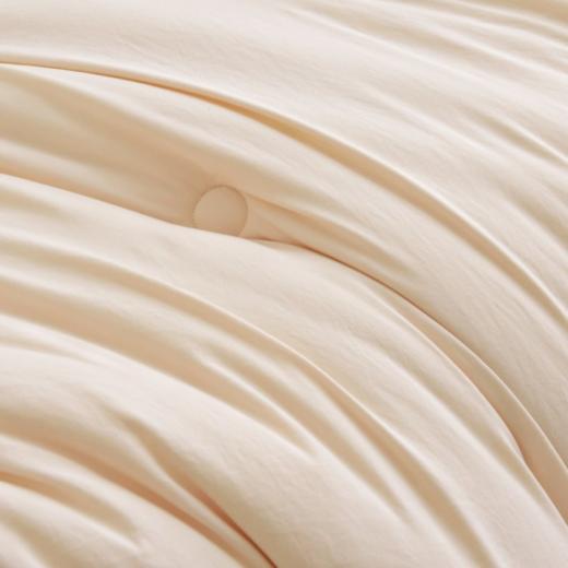 🔥【轻盈保暖，性价比之选】玛万润肤舒柔大豆冬被😍！棉的质感 + 羊绒的柔软，居家必备首选！ ✅ 阳绒棉（110g 水洗工艺）、轻盈保暖，舒适透气 商品图2