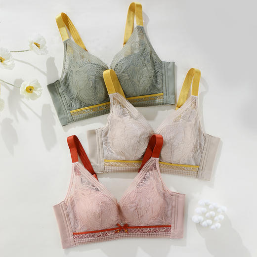 雅黛俪女士文胸甜美性感蕾丝聚拢显大内衣U型美背胸罩 商品图4