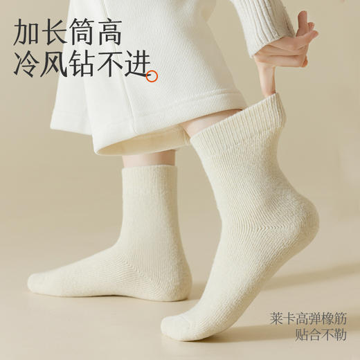 拾袜记冬季加厚羊毛毛圈袜 四双装 男女款 商品图9