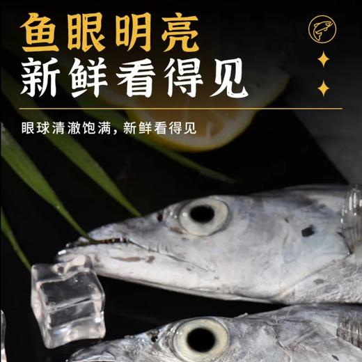 仙食港·冷水海域深海小眼带鱼 当季捕捞肉质新鲜肥美 肉质紧实不松散，鲜而不腥 无冰锁鲜无多余水分占重 商品图2