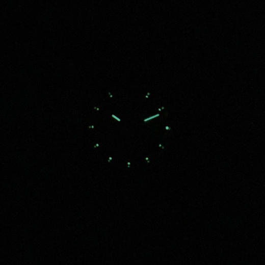 【99新 未使用】TUDOR 帝舵74033-0002王子与公主系列34MM（男款）精钢/18K黄金031125TJ19 商品图8